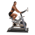 Body Solid Endurance E250 Indoor Cycle -CS Body Solid Endurance E250 Indoor Cycle -CS