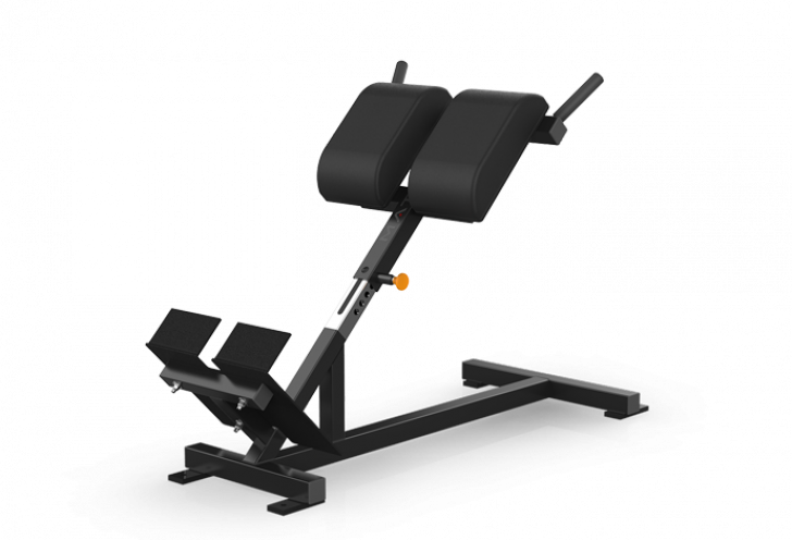 Picture of Varsity Series Back Extension Bench VY-D93