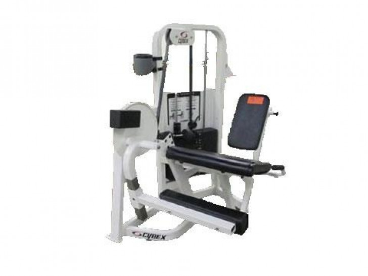 Picture of Cybex VR2 Leg Extension-CS