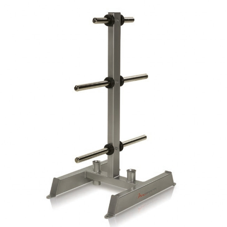 Picture of FreeMotion EPIC Olympic Plate & Bar Storage Rack