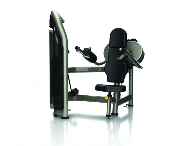 Picture of Aura Series Lateral Raise G3-S21 - CS