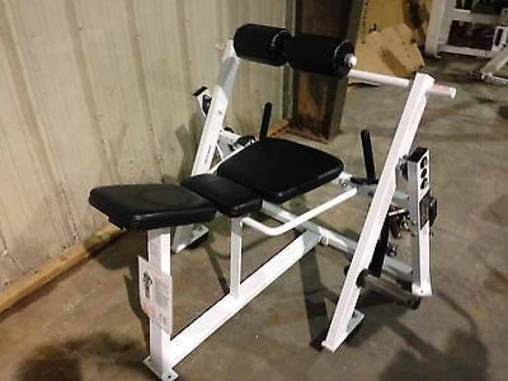 Picture of Hammer Strength Hip & Back- CS