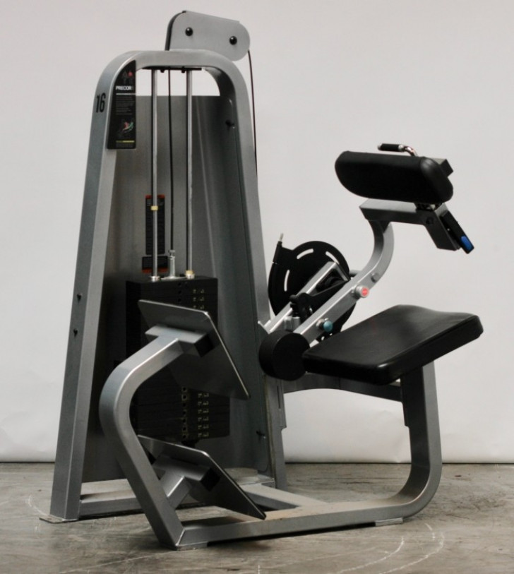 Picture of Precor Icarian Back -CS