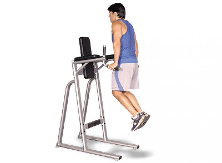 Picture of Inflight VKR Vertical Knee Raise/Dip Inflight