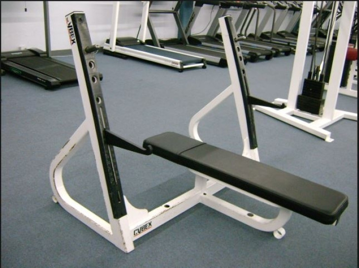 Picture of Cybex Olympic Flat Bench -CS