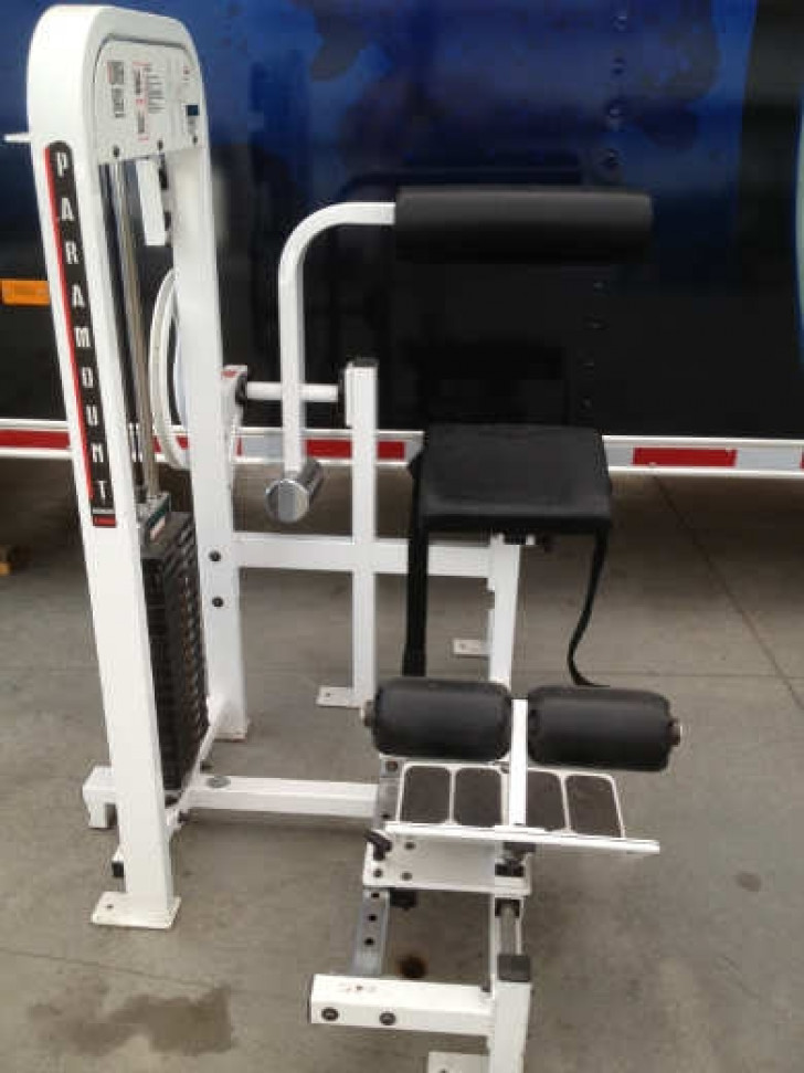 Picture of Paramount Fitness AP Back Extention-CS