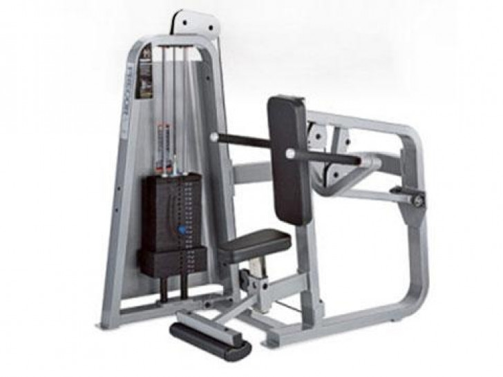 Picture of Precor Icarine Seated Dip-CS