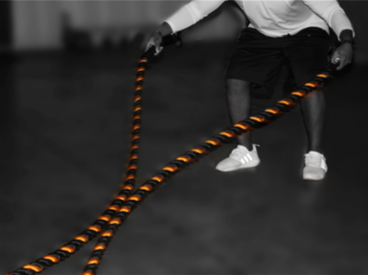 Picture of VTX TRAINING ROPES - 40ft