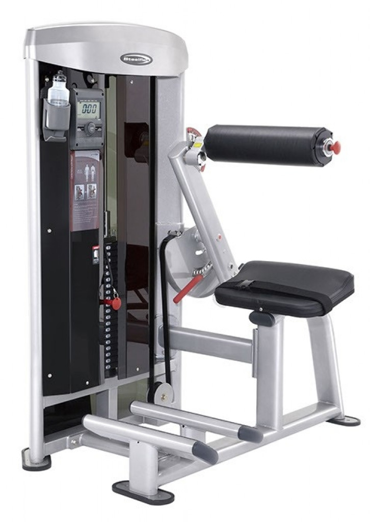 Picture of FMI Steelflex Back Extension MBK-1600 