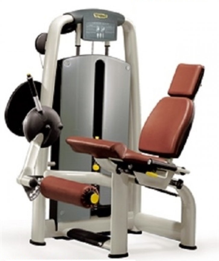 Picture of TechnoGym Selection Seated Leg Curl - CS