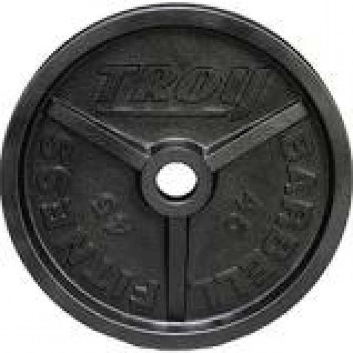 Picture of Troy 10 lb. high grade machined plate(does not have grips)