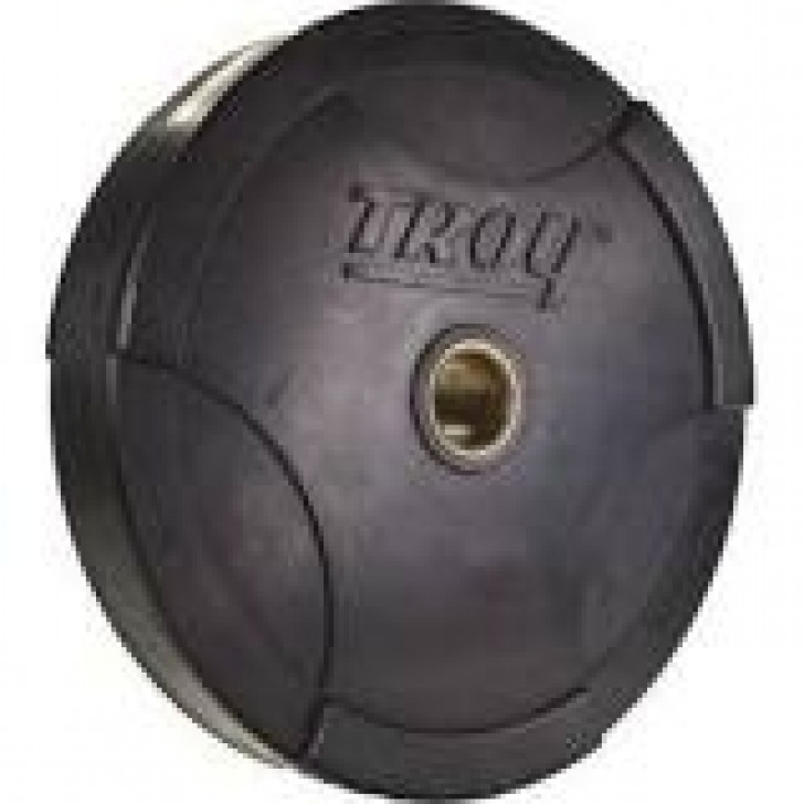 Picture of Troy 10lb. Olympic 2" Solid Bumper plate with steel insert