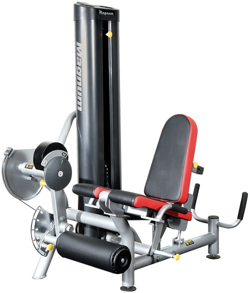 Magnum 6040 - Leg Extension / Lying Leg Curl