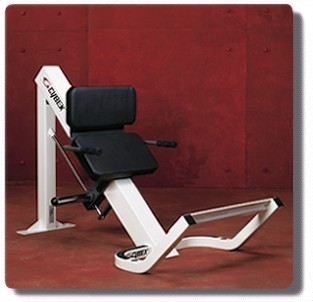 Cybex 45 Degree Plate-Loaded Calf-CS