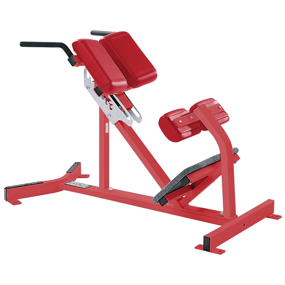 Reverse Hyper Extension - CS