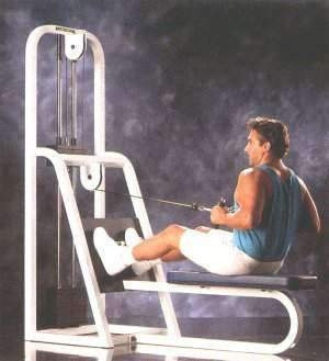 MaxiCam Low Row-CS