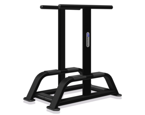 Dip Station Model 9NP-B7518