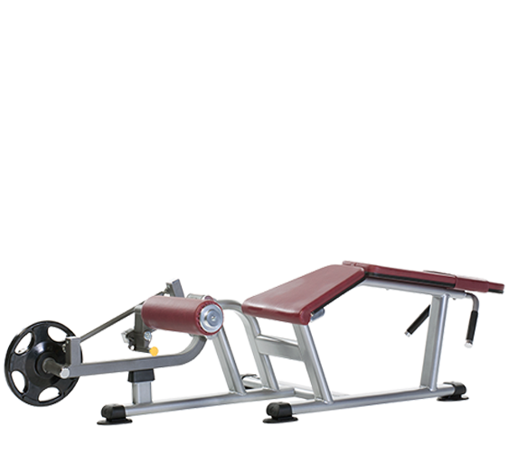 Prone Leg Curl PPL-950