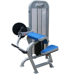 Quantum Bicep Curl-CS