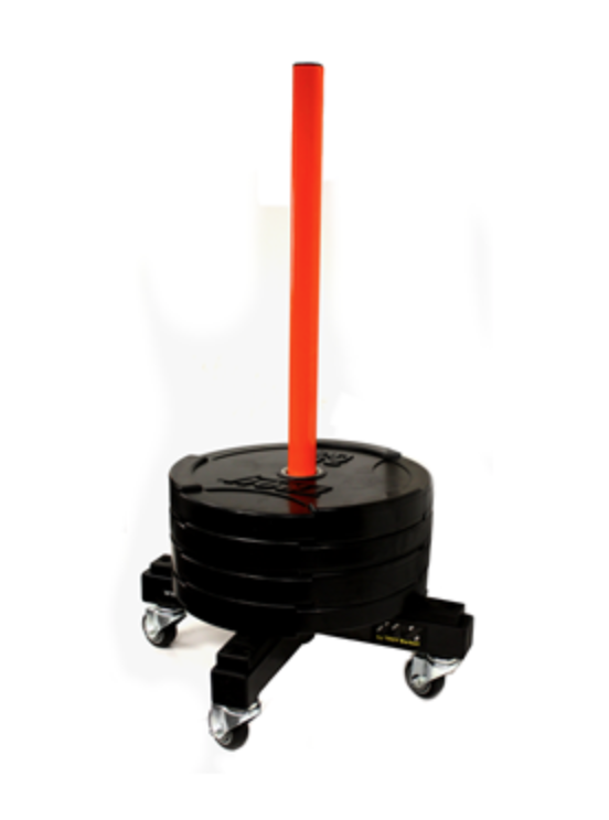 Mobile bumper plate rack 