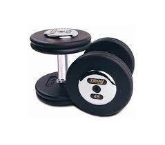 Troy 115 lb. fixed pro-style dumbbells, contoured handle, black plate, chrome end cap