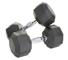 Troy 12.5 lb. 12-sided urethane enased dumbbell