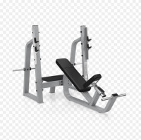 Precor Icarian Olympic Incline Bench with Spotter Stand- CS