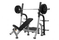 Magnum Badger Olympic Incline Bench with Spotter-CS