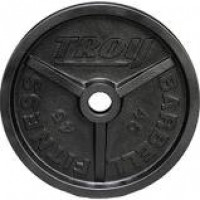 Troy 10 lb. high grade machined plate(does not have grips)