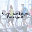 Picture of Corporate Office Used Gym Package - 3