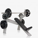 Picture of FreeMotion EPIC Olympic Incline Bench - F214