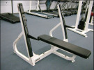 Picture of Cybex Olympic Flat Bench -CS