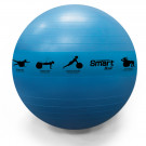 Picture of SMART Stability Ball