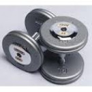 Picture of Troy 100 lb. fixed pro-style dumbbells, straight handle, hammertone grey plate, chrome end cap