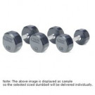 Picture of Troy 105-150 lbs Set (10 pr.) 5 lb. increments fixed pro-style dumbbells, contoured handle, black plate, rubber end cap