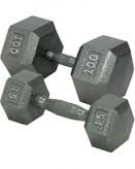 Picture of Troy 115 lbs12-Sided Solid Gray Dumbbell w/ contoured handle