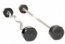 Picture of Troy 12 SIDED 100LB RUBBER CURL BARBELL