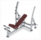Picture of Olympic 3-Way Bench Press PFW-8200 - CS