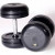 Troy 100 lb. fixed pro-style dumbbells, straight handle, rubber encased plate, rubber end cap