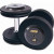 Troy 105 lb. fixed pro-style dumbbells, straight handle, rubber encased plate, rubber end cap