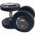 Troy 10 lb. fixed pro-style dumbbells, straight handle, black plate, rubber end cap