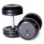 Troy 10 lb. fixed pro-style dumbbells, straight handle, rubber encased plate, no end cap on this size