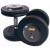 Troy 115 lb. fixed pro-style dumbbells, straight handle, black plate, rubber end cap