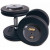 Troy 120 lb. fixed pro-style dumbbells, straight handle, black plate, chrome end cap